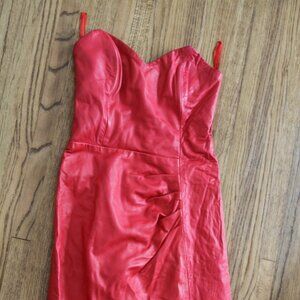 Pink Christian Lauren Dress